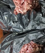 اكل كلاب (،هياكل وجوانح )