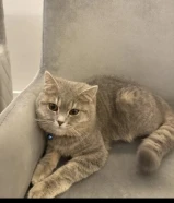 للبيع السعر قابل للمساواه مع كامل اغراضه