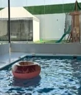 لايجار استراحه كبد