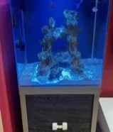 Marine/saltwater aquarium