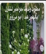 مطلوب ولديناجواخير بكبد الهجن