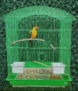 صن كنيور شرط ربوه ........................... .......................