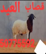 قصاب العيد كل عام وانتم بخير ٥٠٧٧٥٥٩٢