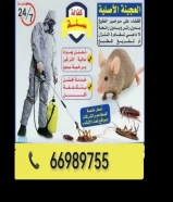 مكافحة الحشرات والقوارض بأسعار مناسبة