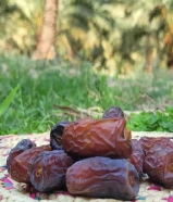 بيع التمر بالجملة والتصدير بدون وساطة" "نحن نقدم أفضل أنواع التمر للبيع بالجملة والتص