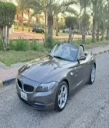 BMW Z4 - 2010 Brown