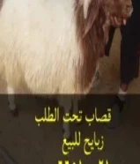 قصاب الكويت /زبايح للبيع مع التوصيل