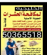 مكافحه جميع أنواع الحشرات والقوارض ارخص الأسعار خدمة ممتازة