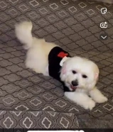 Notify me if price dropsثنيه مالتيز .