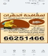 شركة اونست الالمانيه لمكافحة الحشرات والقوارض