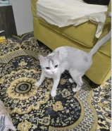 الام وبنتها معا