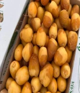 رطب اخلاص وادي الدواسر