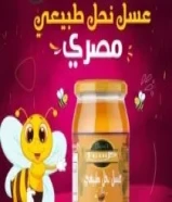 عسل نحل طبيعي