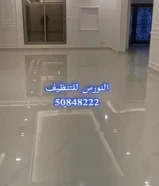 شركة تنظيف النورس الفضي - لمسه احترافيه لكل ركن في بيتك - تنظيف منازل ومكاتب ومزارع