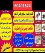 مكافحة الحشرات والقوارض بدون مغادرة المنزل وارخص الأسعار جميع مناطق الكويت خدمه 24 ساعه