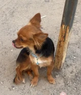 اي استفسار الرجاء التوصل