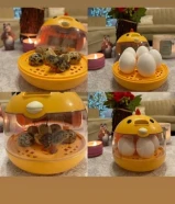 للبيع فقاسه شامل التوصيل