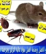 مكافحه حشرات وقوارض ارخص الاسعار كفاله سنه علي جميع اعمالنا نغطي جميع مناطق الكويت65779263