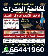 اقوي شركة مكافحة حشرات بلكويت