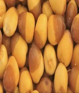 رطب خلاص- روتانا
