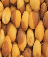 رطب خلاص- روتانا