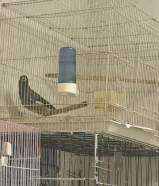 مجموعة حلو وصعبة