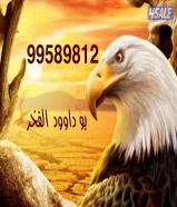 للإيجار دور القيروان ق1