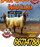 قصاب تحت الطلب