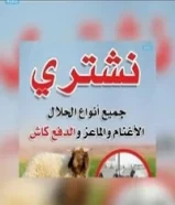 نشتري غنم ومعزا العدد مفتوح والدفع كاش