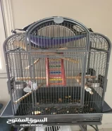 2 Sugar Gliders+Cage+Accessories (male and female)