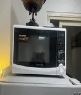 ميكرويف دايو