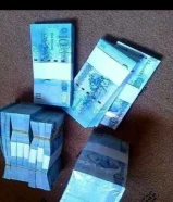 نشتري غنم ومعزا العدد مفتوح والدفع كاش