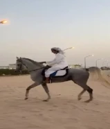 للبيع حصان مصري البيع بلدي العمر 5سنين العسافه معسوف الون ازرق