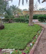 بيع وتركيب الثيل الصناعى والسور التركى وزرع