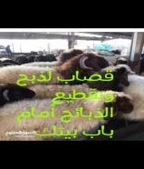 قصاب لجميع انحاء الكويت