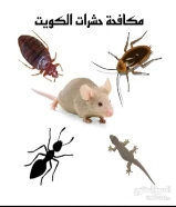 مكافحة جميع الحشرات والقوارض جميع مناطق الكويت96767047