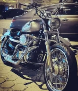 Harley davidson sportster 883 custom