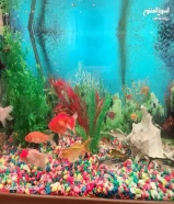 Big Acquarium for sale