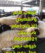 قصاب جزار لذبح وتقطيع الذبائح أمام باب بيتك زبايح للبيع مع التوصيل جميع مناطق الكويت