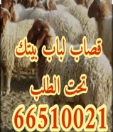 قصاب تحت الطلب +زبايح للبيع