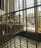 ‏زبرة كان منتج