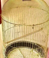 للبيع قفص مستعمل عصافير بادجي و إسترالي السعر 750 فلس لا يوجد توصيل