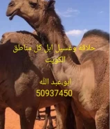 حلاقة وغسيل ابل كل مناطق الكويت