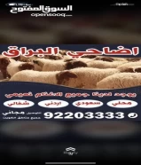 60 KWDجميع انواع الاغنام