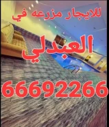 للايجار مزرعه في العبدلي ٦٦٦٩٢٢٦٦