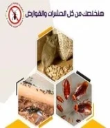 مكافحة جميع الحشرات والقوارض
