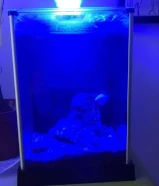 Fishtank Fluva 10liters with Heater