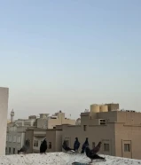 للبيع لوت 7 حبات حمام برج