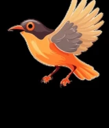 مطلوب اي طائر للتبني